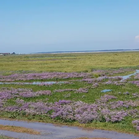 アパート Capsea 4 Etoiles, St Valery-sur-s, Avec 2 Parkings Gratuits