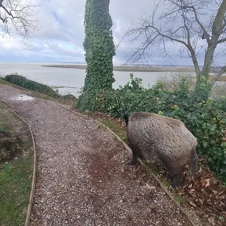 L'escale En Baie 4 Etoiles, St Valery-sur-s, Avec 2 Parkings Gratuits
